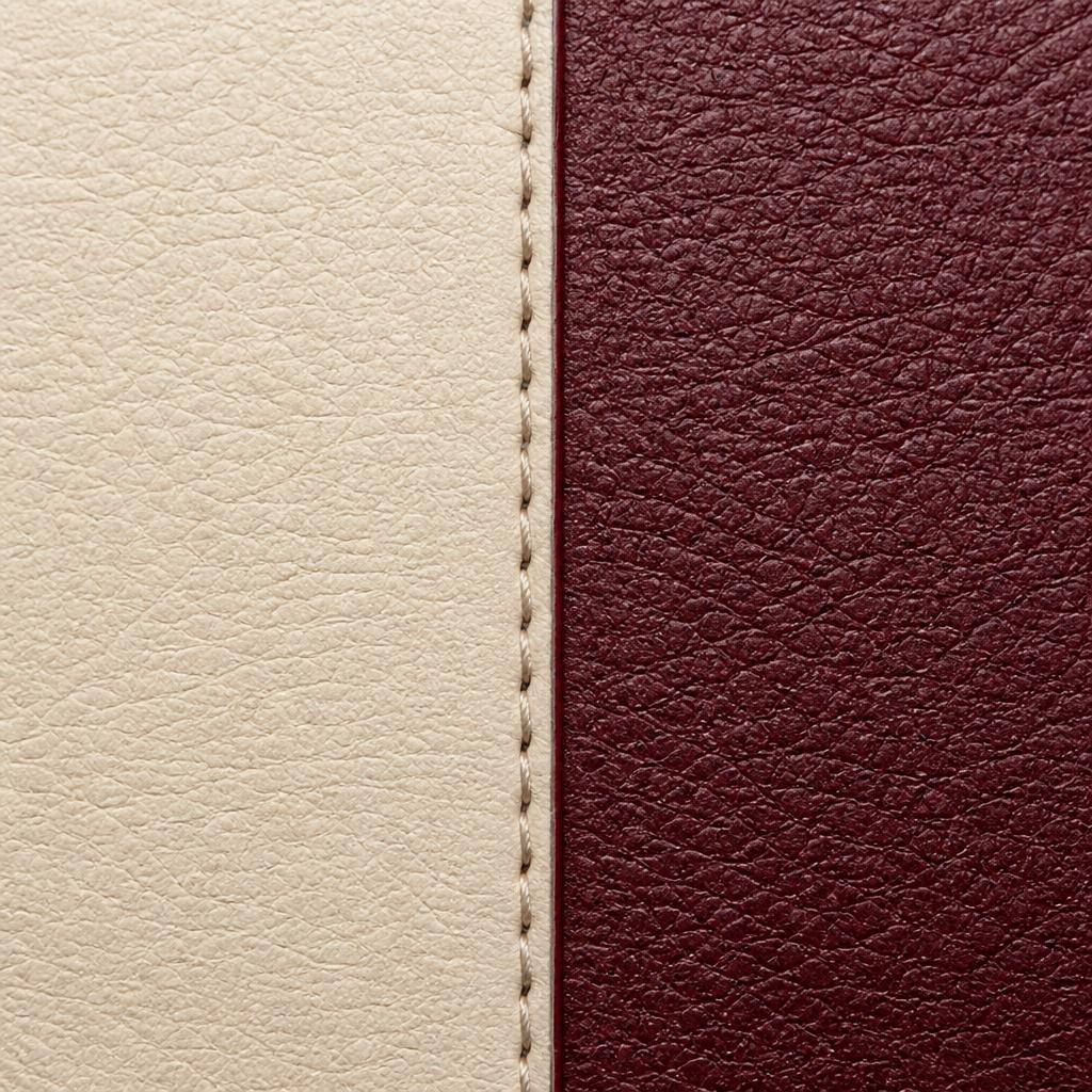 Two-Tone leather sample