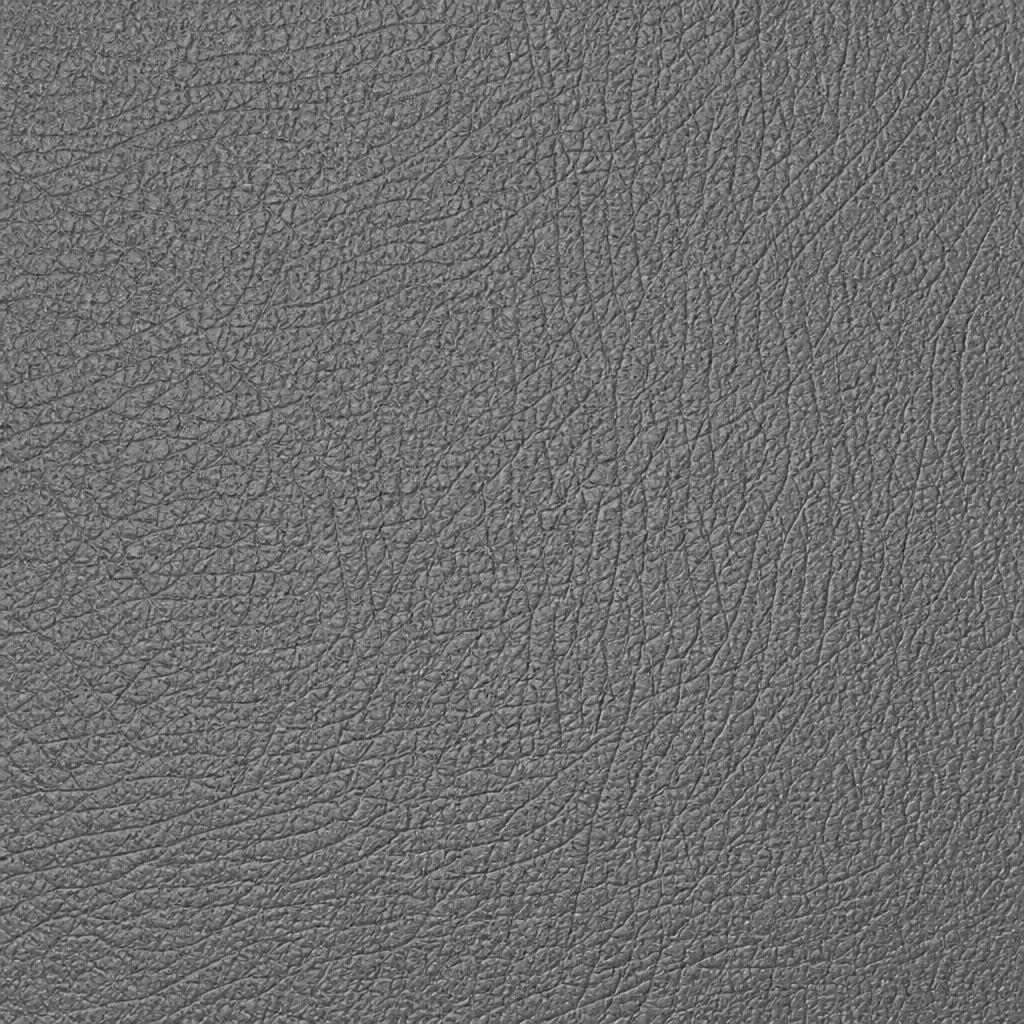 Black leather sample